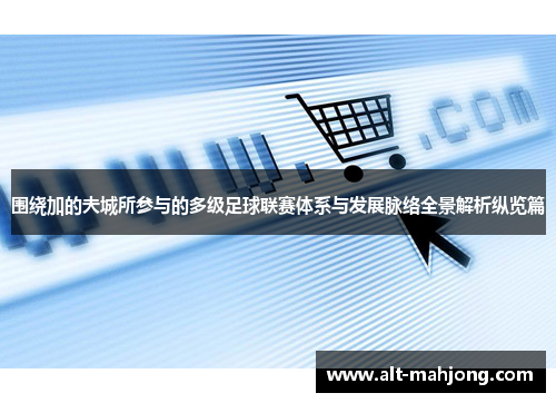 围绕加的夫城所参与的多级足球联赛体系与发展脉络全景解析纵览篇