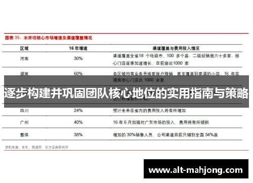 逐步构建并巩固团队核心地位的实用指南与策略