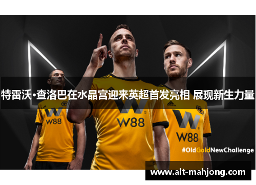 特雷沃·查洛巴在水晶宫迎来英超首发亮相 展现新生力量 特雷沃·查洛巴在水晶宫迎来英超首发亮相 展现新生力量